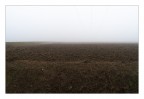 Terra e poco pi