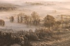 alberi