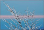 Inverno