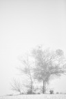 nebbia e neve