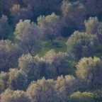 Le piccole dimensioni dell'immagine sono necessarie per stare all'interno del mega.

Graditissimi commenti