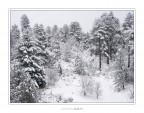 Sound of silence