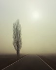 tra la via Emilia e la via Lattea