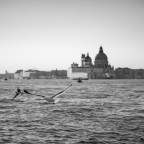 Com' triste Venezia