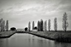 Monfalcone  img.082