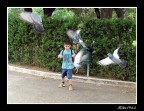 Se vi acchiappo...