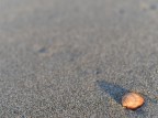 L'ombra lunga della sera