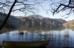 la barca fra i canneti