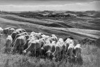 Nude nelle Crete Senesi....