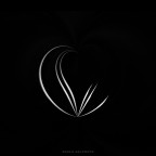 Metamorfosi