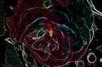 Elektroflower