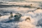 fog