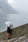 grigio