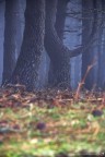 Parco Nazionale dell'Aspromonte