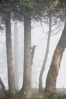 Parco Nazionale dell'Aspromonte