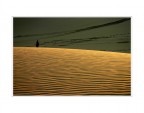 Linee