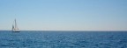 vela solitaria