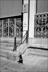 Esuberante personalit