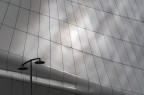 Luce
