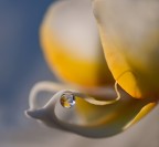 un angelo con la sua lacrima... un angelo con la sua lacrima...