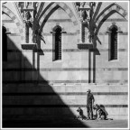 richiamo dell'ombra
