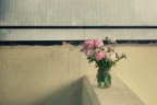 La Poesia Perduta