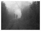nebbia fitta.....