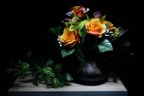 Pennellate di luce