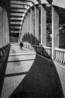 Ponte