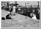 Piccioni veneziani.....