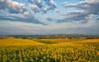 Aspettando la bella stagione