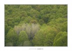 Estranei