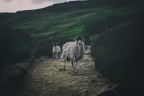 Peak District