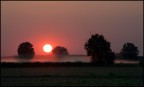 savana padana