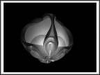 Lampadario
