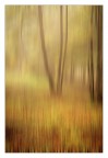impressioni di ottobre