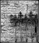 ..Un Muro Di Cinta Di Un Castello..
..Un Vecchio Cancello Arruginito..

..Forti Contrasti..

..Suggerimenti e Critiche Sempre Ben Accetti..