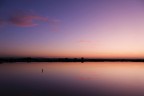 sound of silence