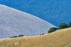 Paesaggio lineare