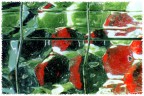 Pezzettino di vetro retinato peer vetrate, trasparente, bianco, ripreso allo scanner in trasparenza e con colorazione diretta con carta/e.