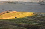 Working in the fields