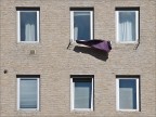 Il colore viola