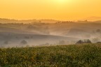 al mattino