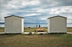 Monfalcone img.014