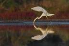 La-stoccata_DSC0476