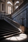Luce