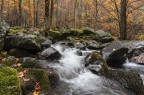 Il torrente e i suoi colori d'autunno Il torrente e i suoi colori d'autunno