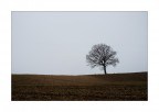 Monotonie padane