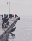 Trieste - Molo Audace