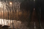 dalla luce all'ombra.... dalla luce all'ombra....